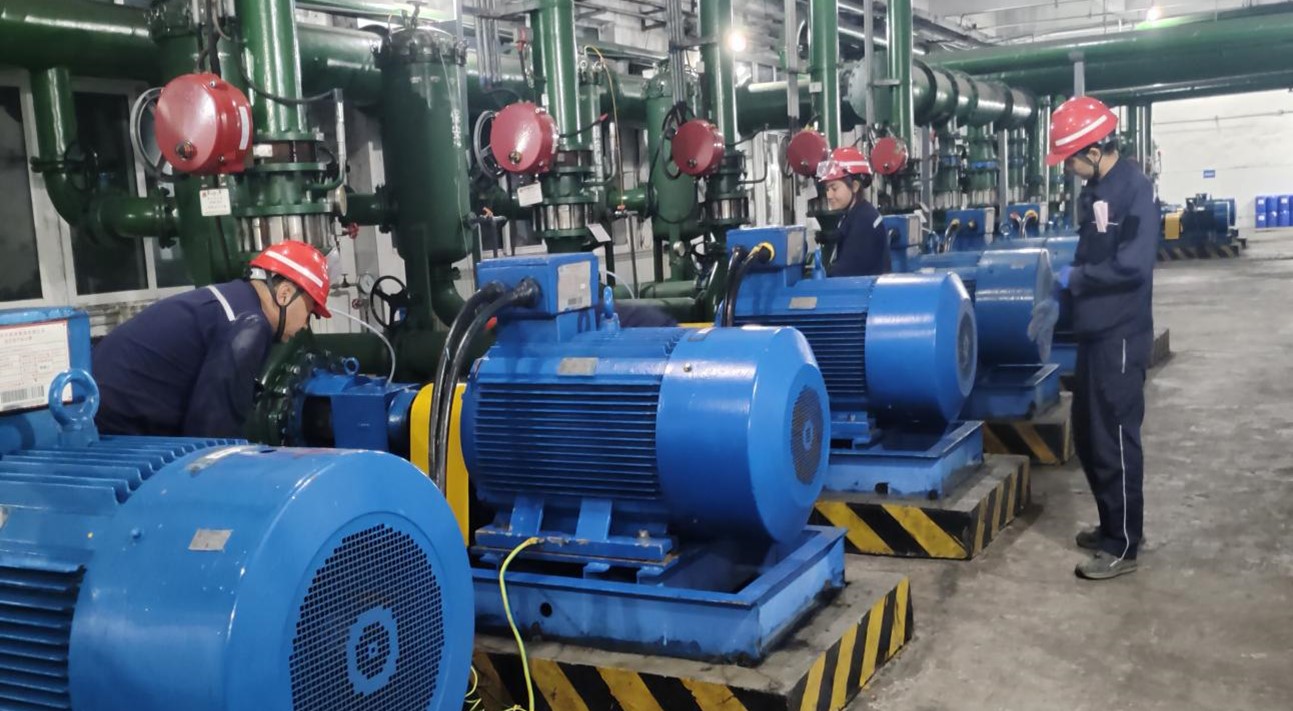 415a42aa-9364-11f0-89b0-fea6c39cc3af.jpg 415a42aa-9364-11f0-89b0-fea6c39cc3af.jpg